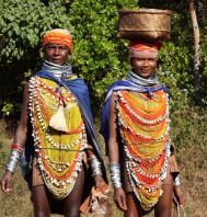 Exclusive Odisha Tribal Tour