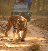 The Sun Sand Shore Tour