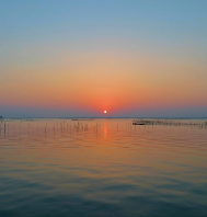 Tranquility At Its Best Tour